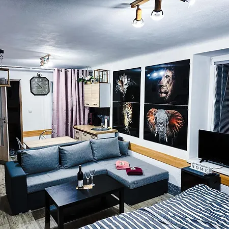 Pod Hradem Homestay Horsovsky Tyn